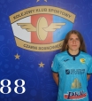 WITEK